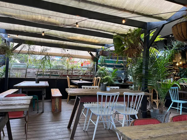 Fork And Waffle Cafe covered outdoor terrace with festoon lights, tropical plants and mismatched chairs